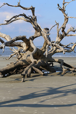Jekyll Island  (25 of 27)