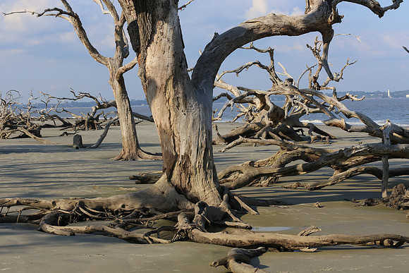 Jekyll Island  (27 of 27)