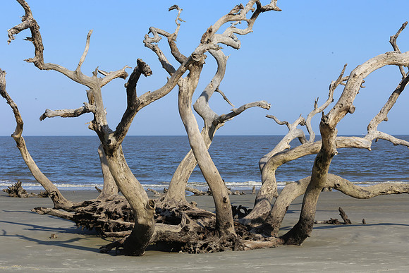 Jekyll Island  (23 of 27)
