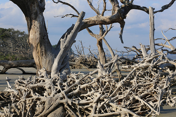 Jekyll Island  (26 of 27)